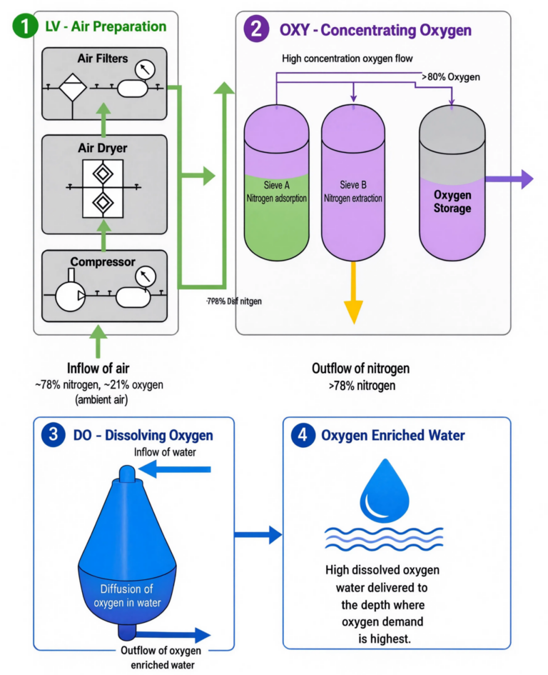 oxygen system infographic