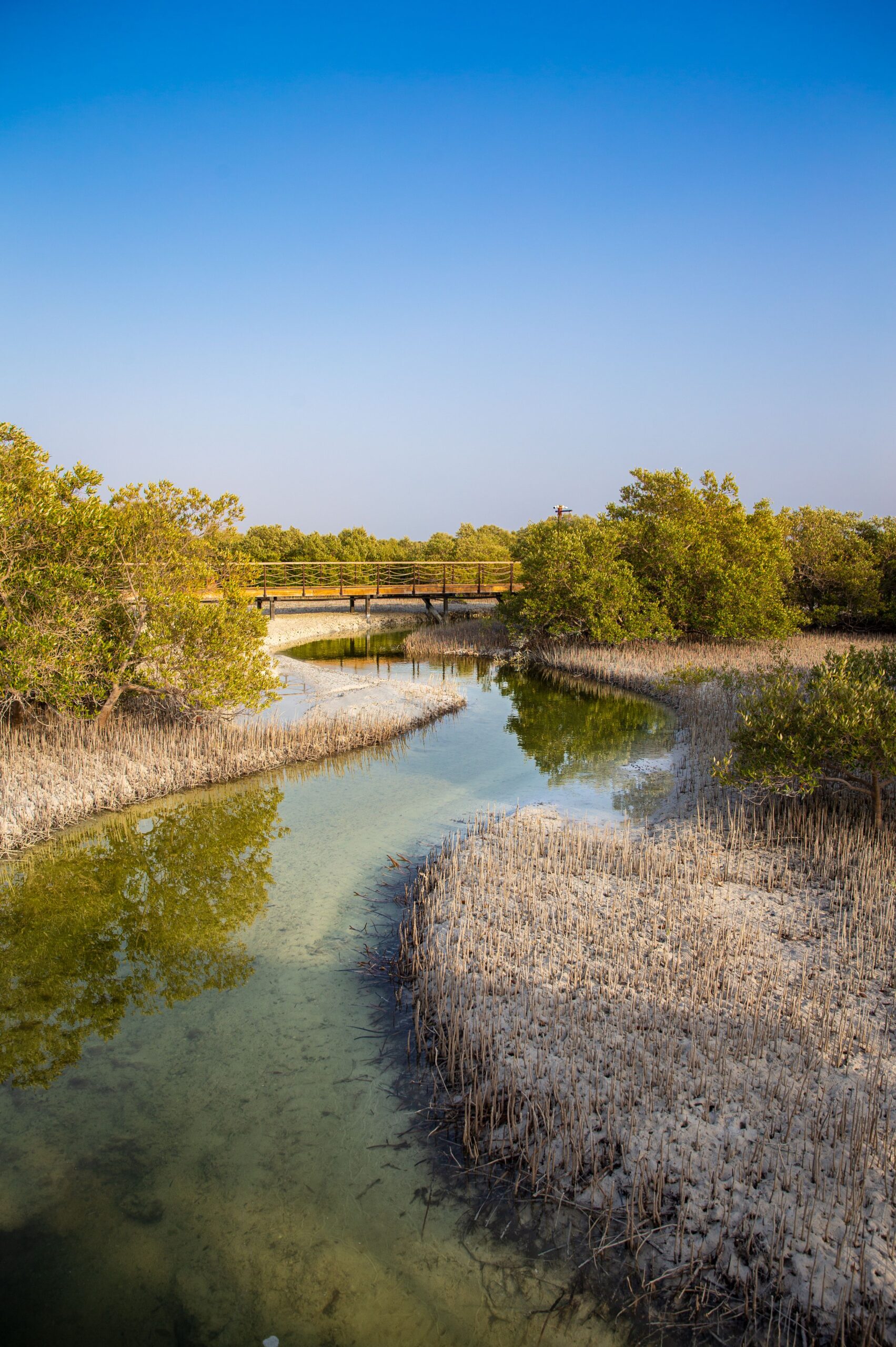 freshwater-eco