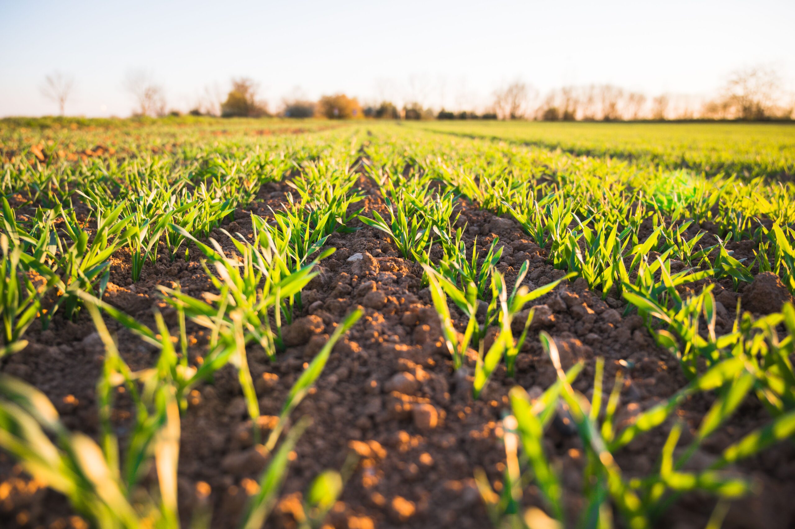 Agriculture & Soil